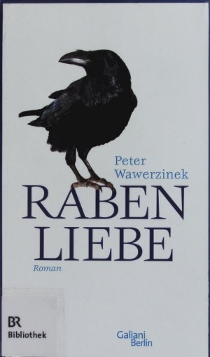 gebrauchtes Buch – Peter Wawerzinek – Rabenliebe. Roman.