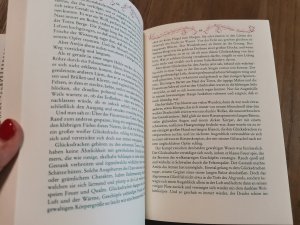 gebrauchtes Buch – Michael Ende – Die unendliche Geschichte Von A bis Z mit Buchstaben und Bildern