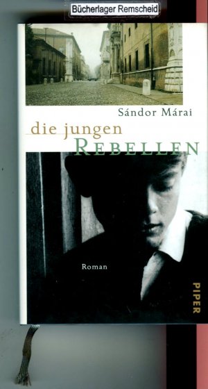 Die jungen Rebellen: Roman