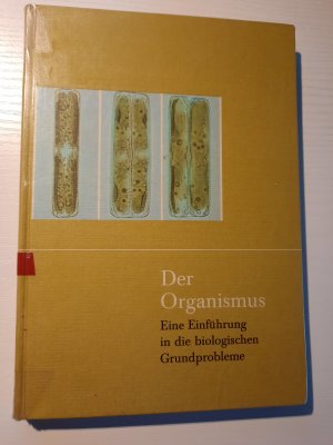 Der Organismus - Eine Einführung in die biologischen Grundprobleme