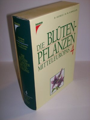 Die Blütenpflanzen Mitteleuropas. Band 4, Nachtschattengewächse bis Korbblütengewächse