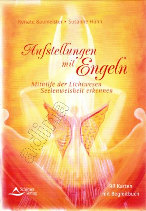 Aufstellungen mit Engeln // Mithilfe der Lichtwesen Seelenweisheit erkennen // Kartenset mit Begleitbuch