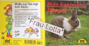 Mein Kaninchen Hoppel Pixi Buch Nr. 666 Einzeltitel aus der Pixi Bücher Serie 82