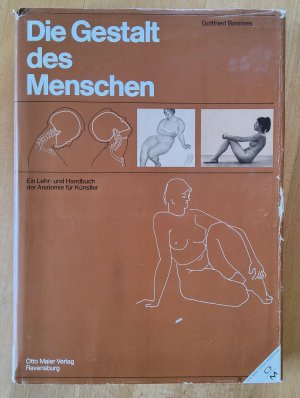 Die Gestalt des Menschen - Ein Lehr- und Handbuch der Anatomie für Künstler