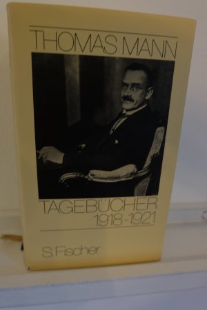 gebrauchtes Buch – Thomas Mann – Tagebücher 1918 - 1921