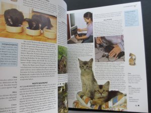 gebrauchtes Buch – Dieter Krone – Enzyklopädie der KATZEN