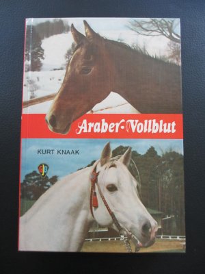 Araber-Vollblut