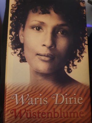 gebrauchtes Buch – Waris Dirie – Wüstenblume