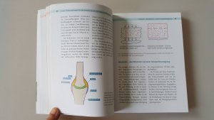 gebrauchtes Buch – Bracht, Petra; Liebscher-Bracht – Die Arthrose-Lüge - Warum die meisten Menschen völlig umsonst leiden - und was Sie dagegen tun können - Mit dem sensationellen Selbsthilfe-Programm -