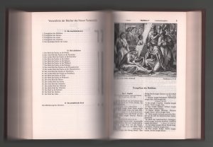 gebrauchtes Buch – Luther, Martin // Julius Schnorr von Carolsfeld  – Familien Bibel /Die Bibel oder die ganze heilige Schrift des alten und neuen Testaments--Mit 223 HOLZSCHNITTEN