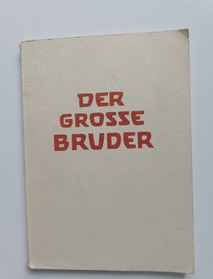 gebrauchtes Buch – Paul M. Hannappel – Der große Bruder