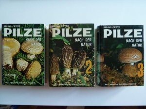 Pilze nach der Natur - 3 Bände (Preis für alle 3 Bände zs. !)