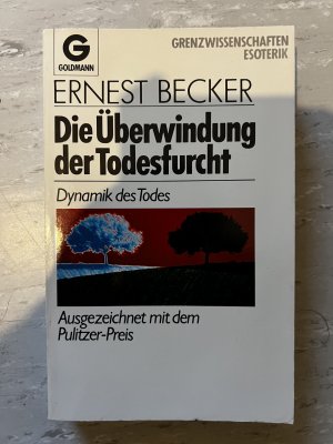 Dynamik des Todes. Die Überwindung der Todesfurcht