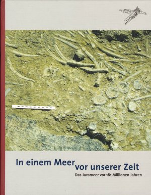 In einem Meer vor unserer Zeit - Das Jurameer vor 181 Millionen Jahren