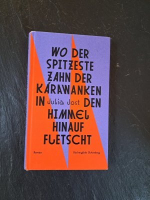 gebrauchtes Buch – Julia Jost – Wo der spitzeste Zahn der Karawanken in den Himmel hinauf fletscht