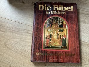 gebrauchtes Buch – Karl-Friedrich Hahn – Die Bibel in Bildern