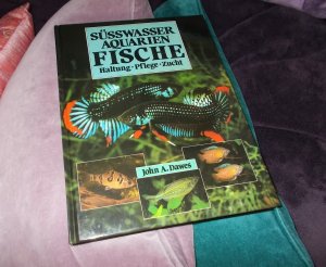 Süßwasseraquarienfische