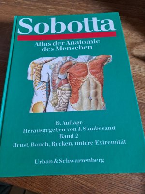 gebrauchtes Buch – Johannes Sobotta – Brust, Bauch, Becken, Untere Extremität