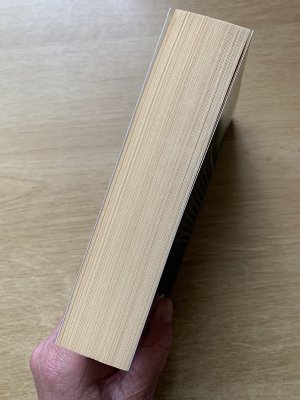 gebrauchtes Buch – Wolfgang Hohlbein – Das Druidentor