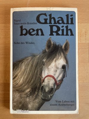 Ghali be Rih - Sohn des Windes. Vom Leben mit einem Araberhengst