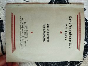 Landsturmbataillon Heilbronn - Eine Gedenkschrift für die Kameraden aus dem Jahr 1919,