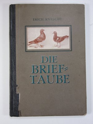 Die Brieftaube