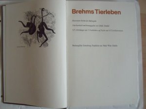 Brehms Tierleben - Säugetiere