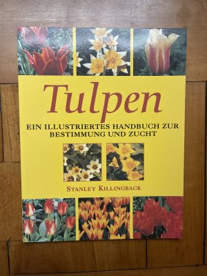 Tulpen