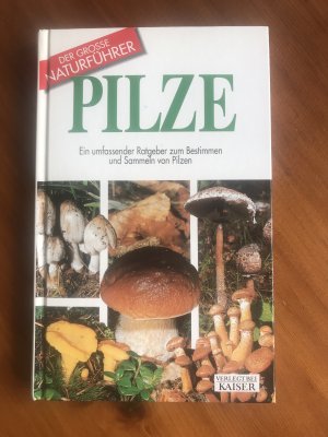 gebrauchtes Buch – Ettore Bielli – Pilze