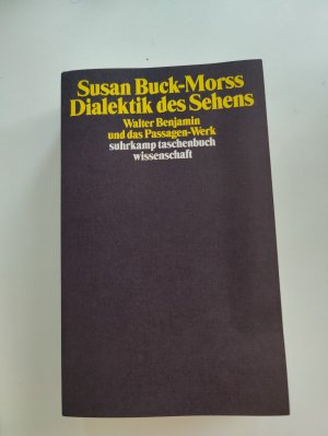 Dialektik des Sehens - Walter Benjamin und das Passagen-Werk