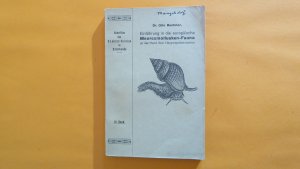 antiquarisches Buch – Dr. Otto Buchner – Die europäische Meeresmollusken Fauna 1913 FOTOS ANSEHEN nirgendsonst