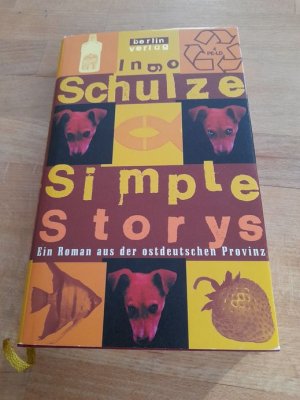 Simple Storys - ein Roman aus der ostdeutschen Provinz