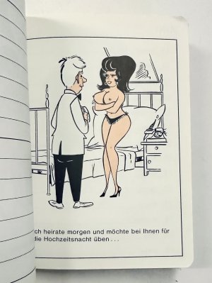 antiquarisches Buch – ROSI...1971 Taschenkalender mit erotischen Cartoons