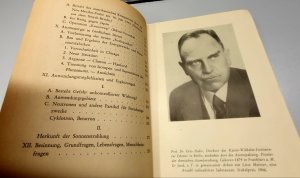 antiquarisches Buch – Friedrich Dessauer – Atomenergie und Atombombe