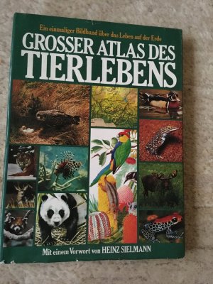 gebrauchtes Buch – Grosser Atlas des Tierlebens