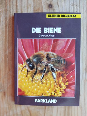 Die Biene - kleiner Bildatlas