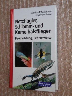 Netzflügler, Schlamm- und Kamelhalsfliegen - Beobachtung, Lebensweise (Schlammfliegen)