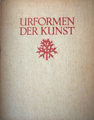 Urformen der Kunst. Photographische Pflanzenbilder von Prof. Karl Blossfeldt