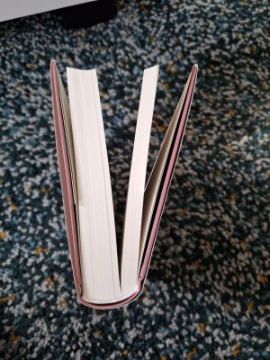 gebrauchtes Buch – Christiane Hörbiger – Ich bin der Weiße Clown - Lebenserinnerungen