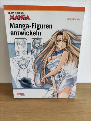 gebrauchtes Buch – Hikaru Hayashi – Manga-Figuren entwickeln