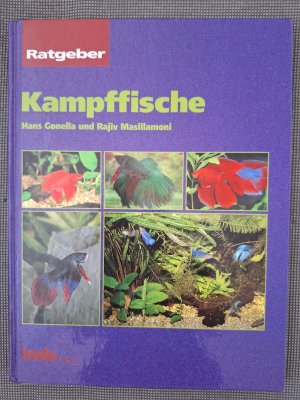 gebrauchtes Buch – Gonella, Hans; Masillamoni – Kampffische