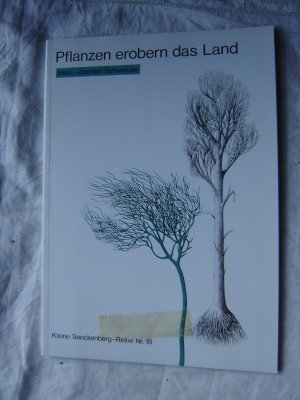 Pflanzen erobern das Land