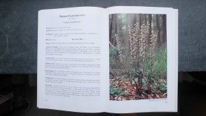 Die Orchideen Nordrhein-Westfalens (NRW Botanik Flora Westfalen Standort lexikon Arten Rote Liste Handbuch).