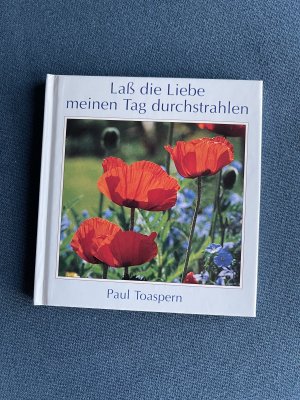 gebrauchtes Buch – Paul Toaspern – Lass die Liebe meinen Tag durchstrahlen