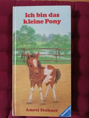 Ich bin das kleine Pony