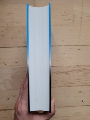 gebrauchtes Buch – Ruediger Dahlke – Depression