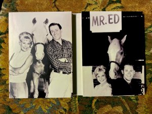 gebrauchter Film – Mister Ed