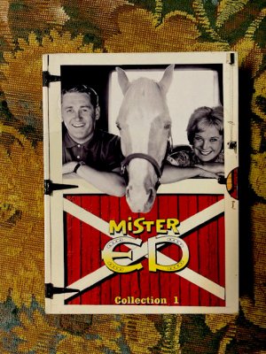 gebrauchter Film – Mister Ed