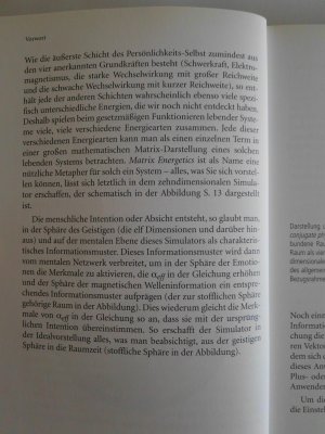gebrauchtes Buch – Richard Bartlett – Matrix Energetics - Die Kunst der Transformation: Radikale Veränderung mit der Zwei-Punkt-Methode