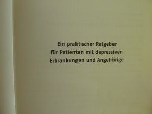 gebrauchtes Buch – Depressionen verstehen - bei der Bewältigung helfen